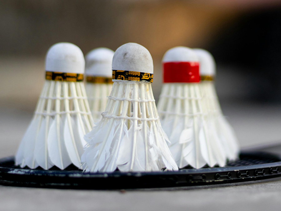 volants de badminton